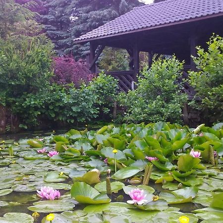 Dankowska Dolina Villa Esterno foto
