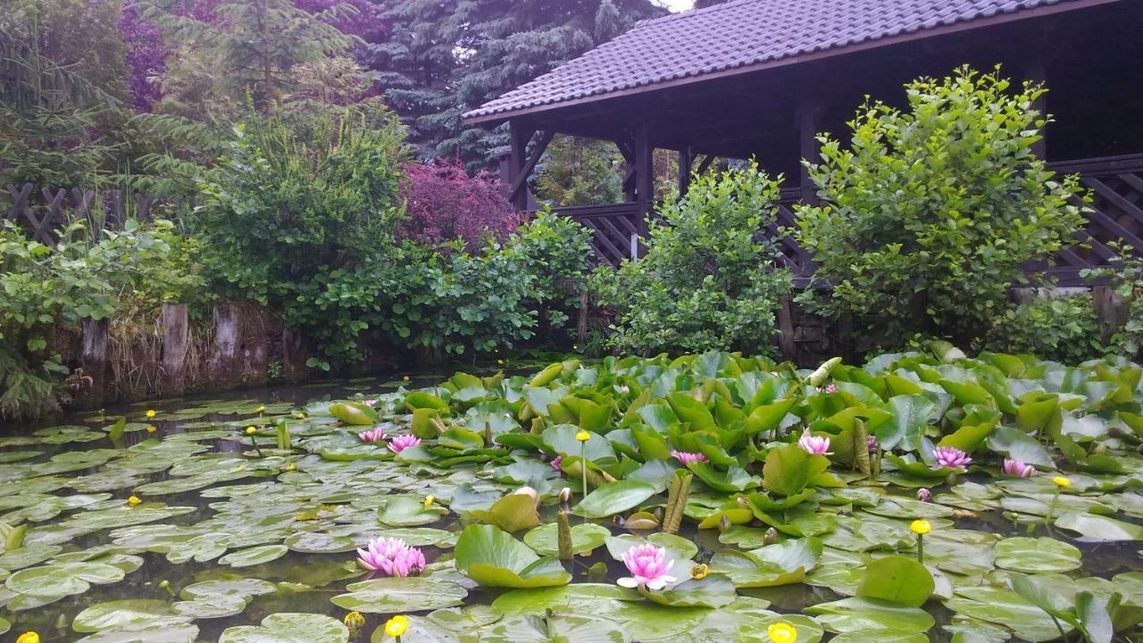 Dankowska Dolina Villa Esterno foto